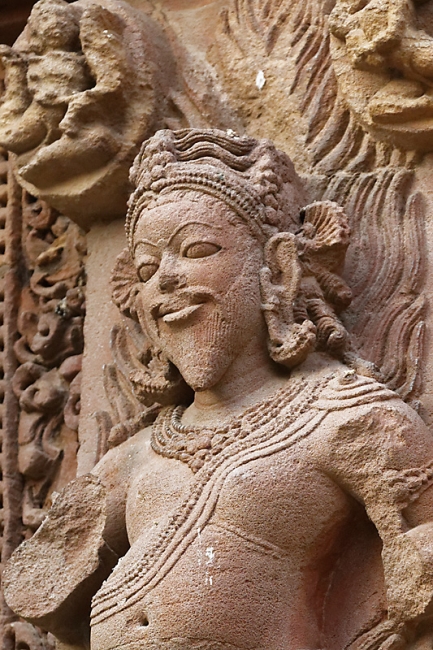 Bhubaneswar-Rajarani temple-030